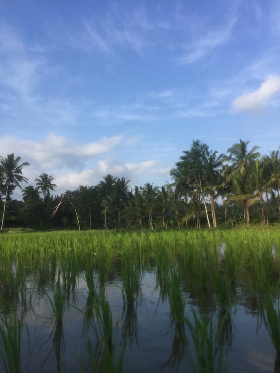 Umah Nik Kepitu Apartamento Payangan Exterior foto